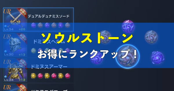 リネレボ ペット装備のオプションを厳選してなくて詰んだ ペット装備 あぷこもり